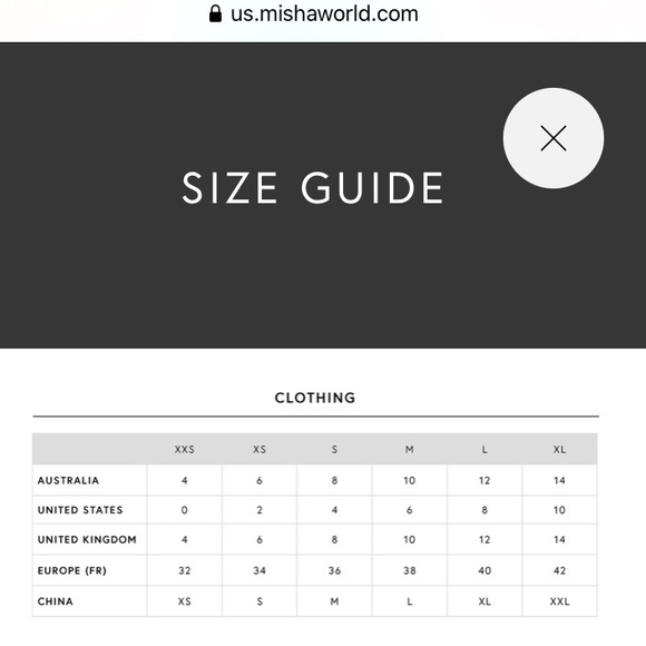 Misha Collection - Body Con Dress XS - Picture 6 of 6